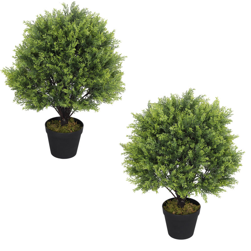 Primrue Levine Artificial Topiary Cedar Ball Tree 24'' Fake Cedar Potted Plants & Reviews Wayfair